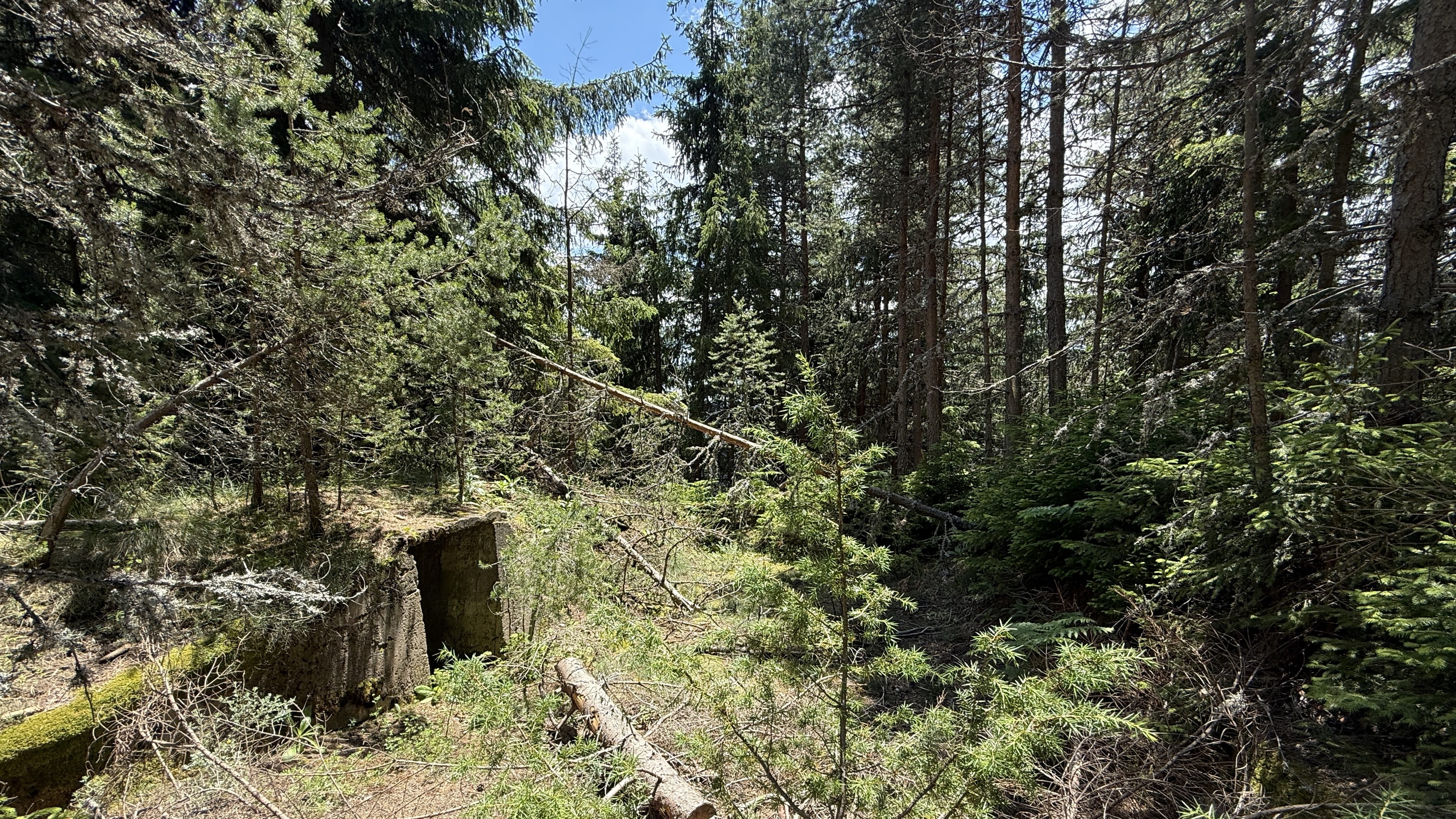 Abandoned Cold War military position in the forest along Bulgaria’s old border with Greece