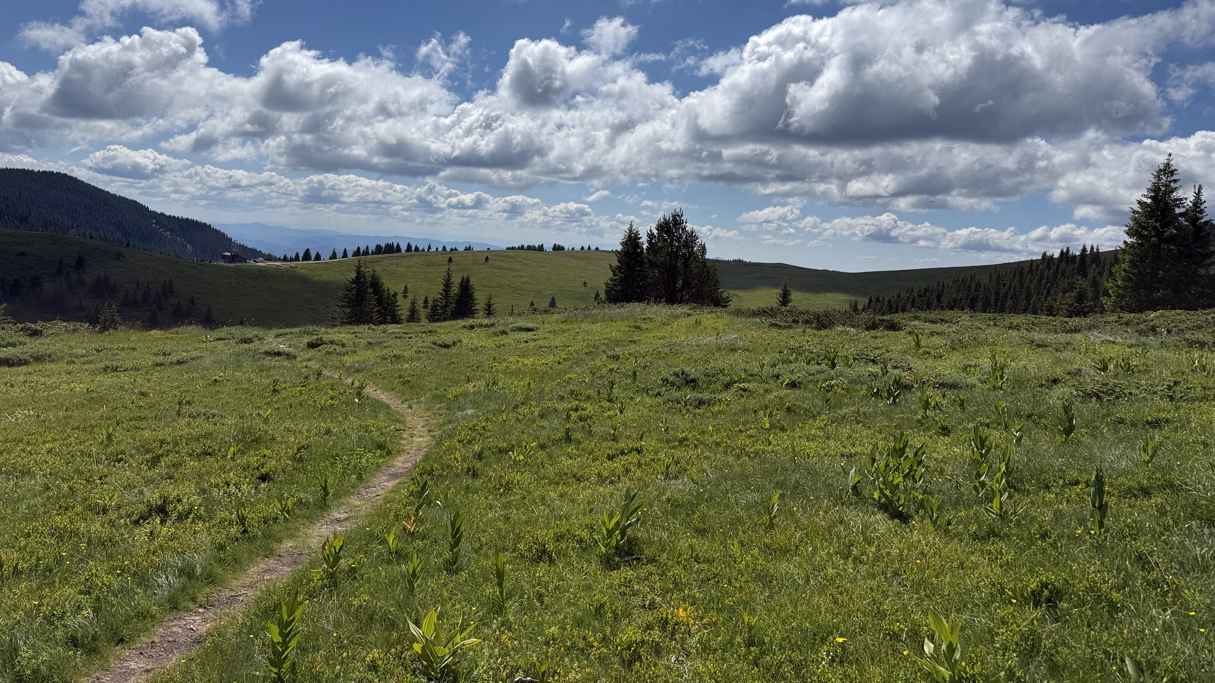 Mountain trail below Golyam Perelik in Bulgaria’s Rhodope Mountains