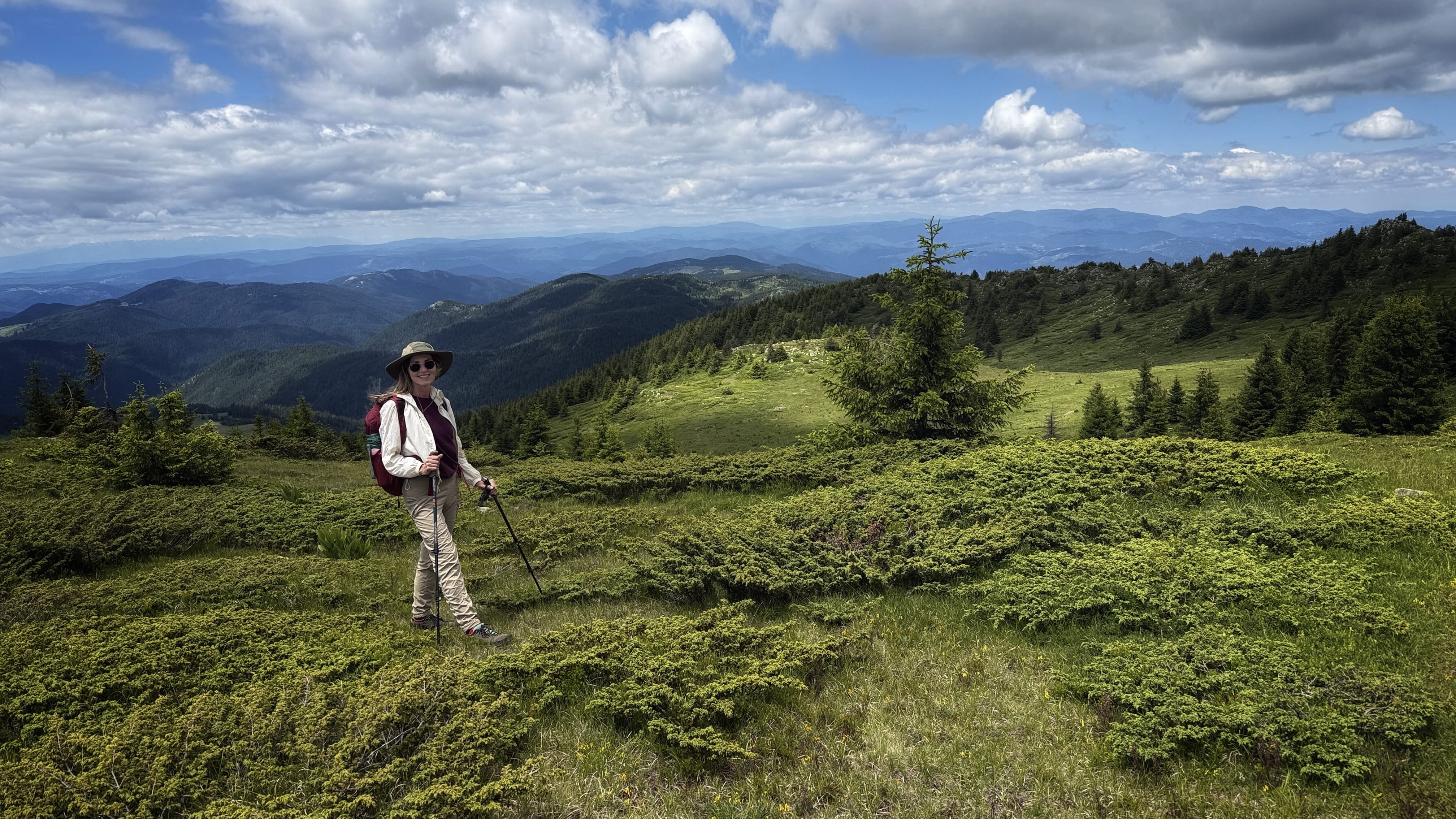Rolling green mountains and spruce-covered hills in Bulgaria’s Rhodope Mountains