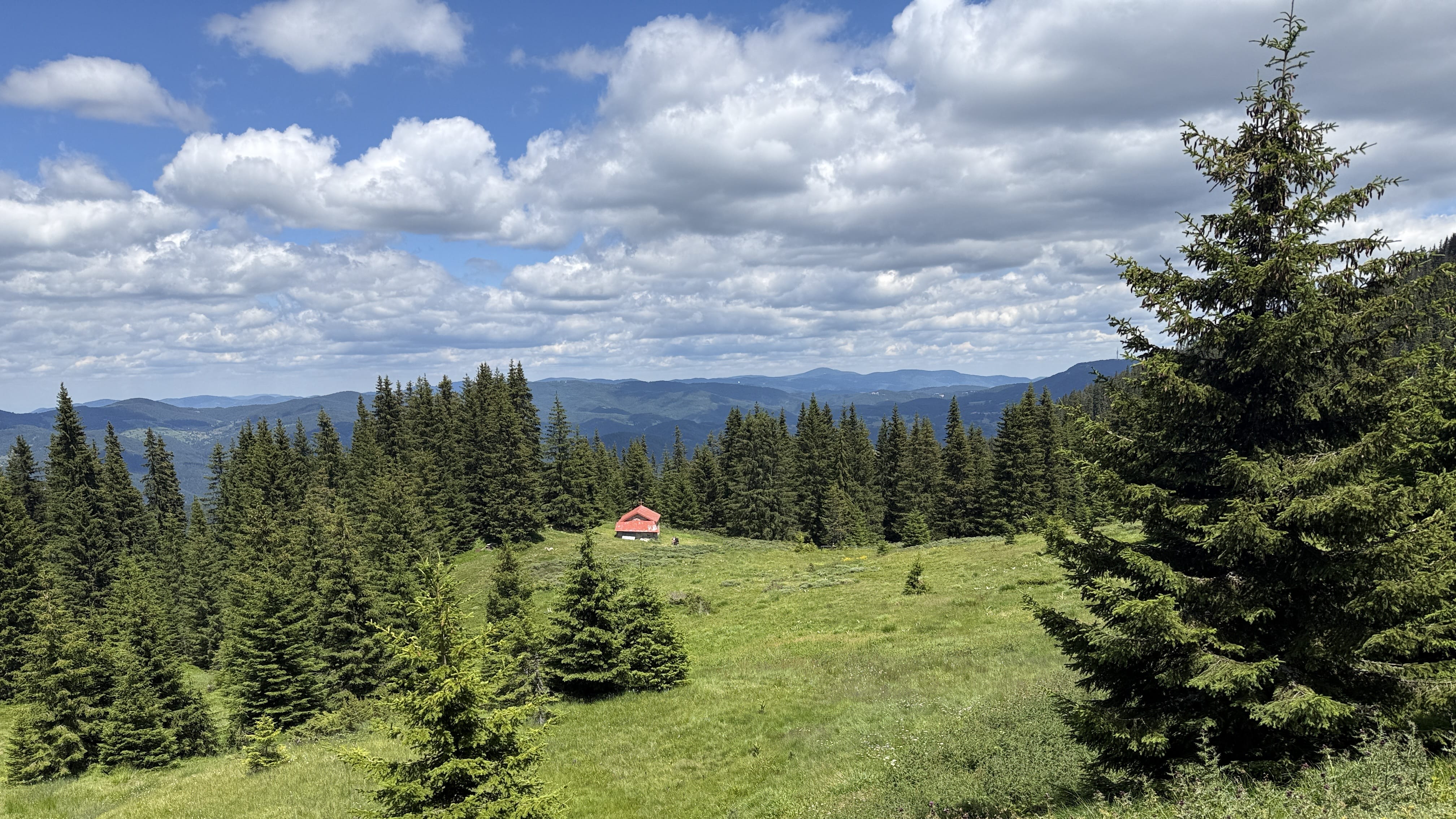 Mountain trail descending toward Gela in Bulgaria’s Rhodope Mountains