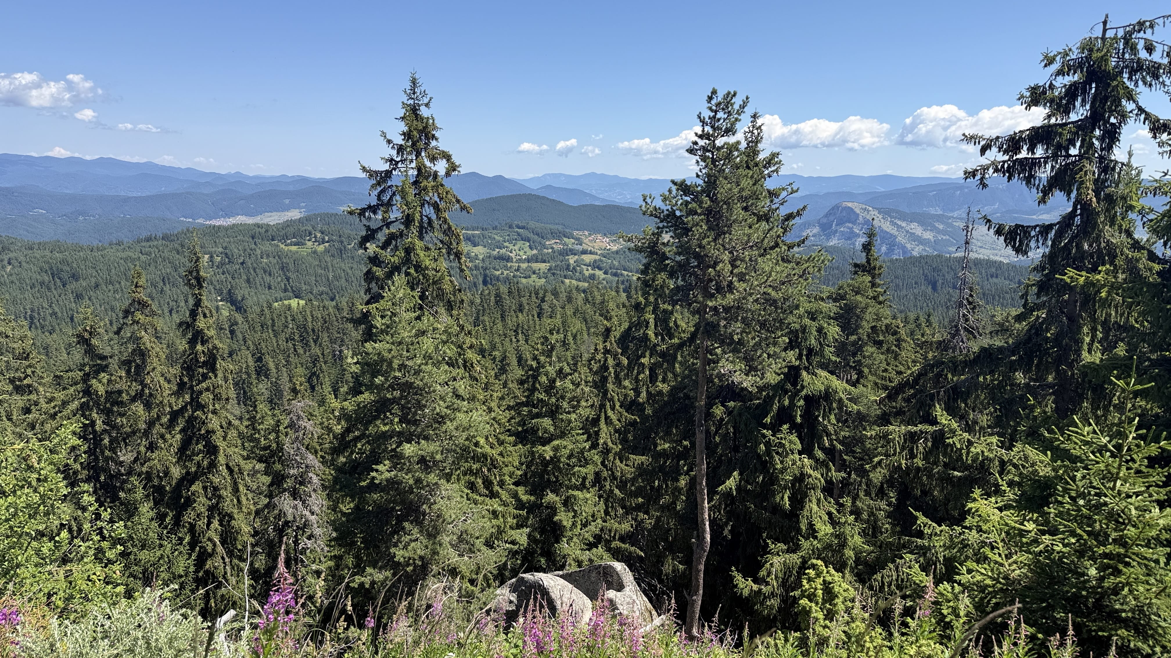 Hiking trail near Gela in Bulgaria’s Rhodope Mountains