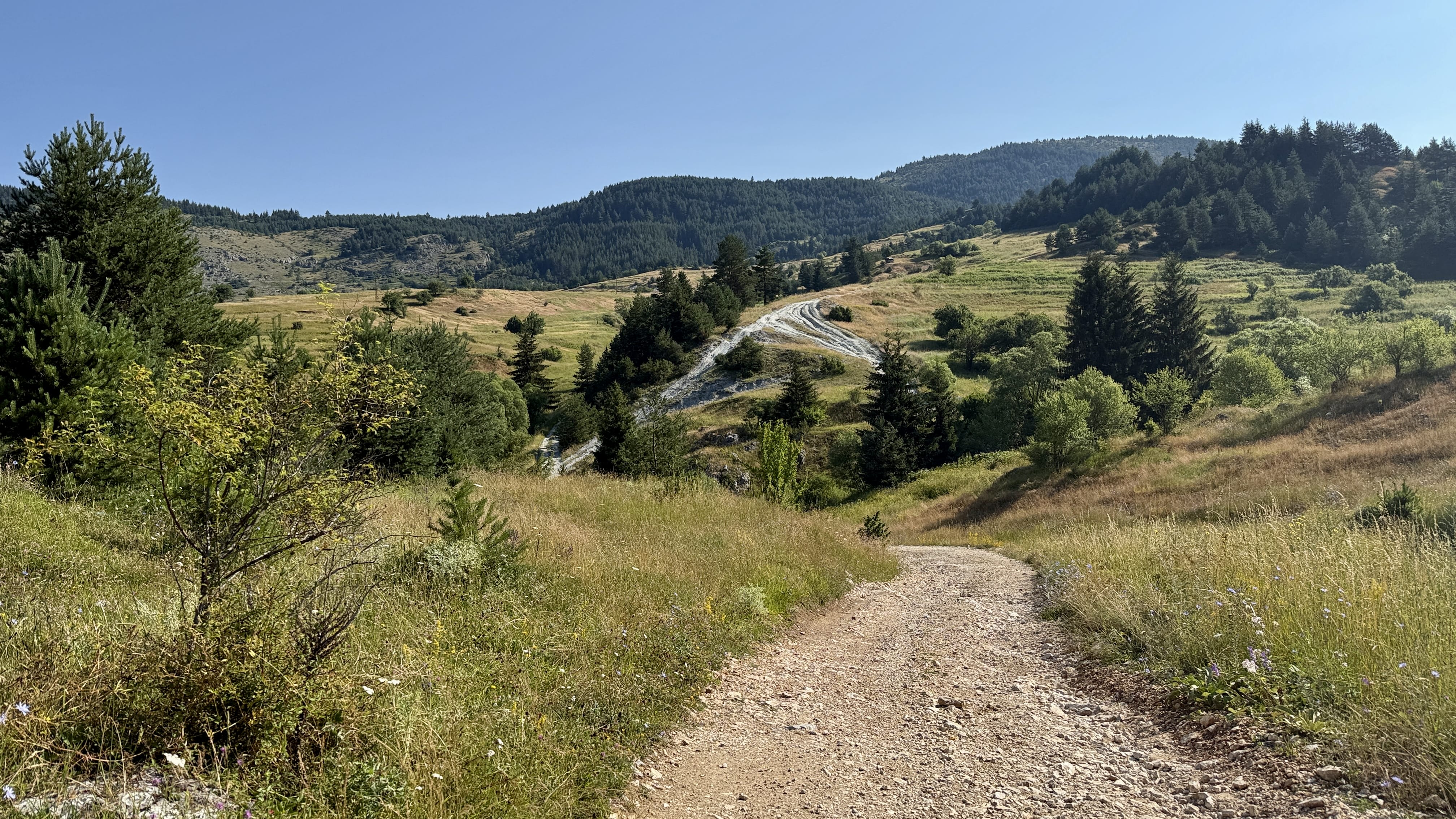 Forest trail through the Rhodope Mountains near Yagodina, Bulgaria
