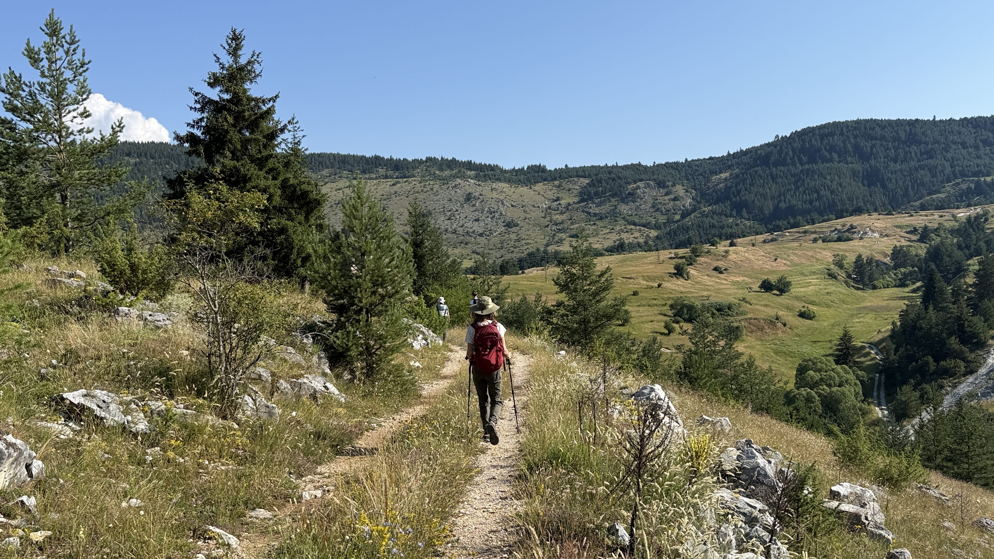 Hikers following a forest trail near Yagodina while tracking bears and wolves