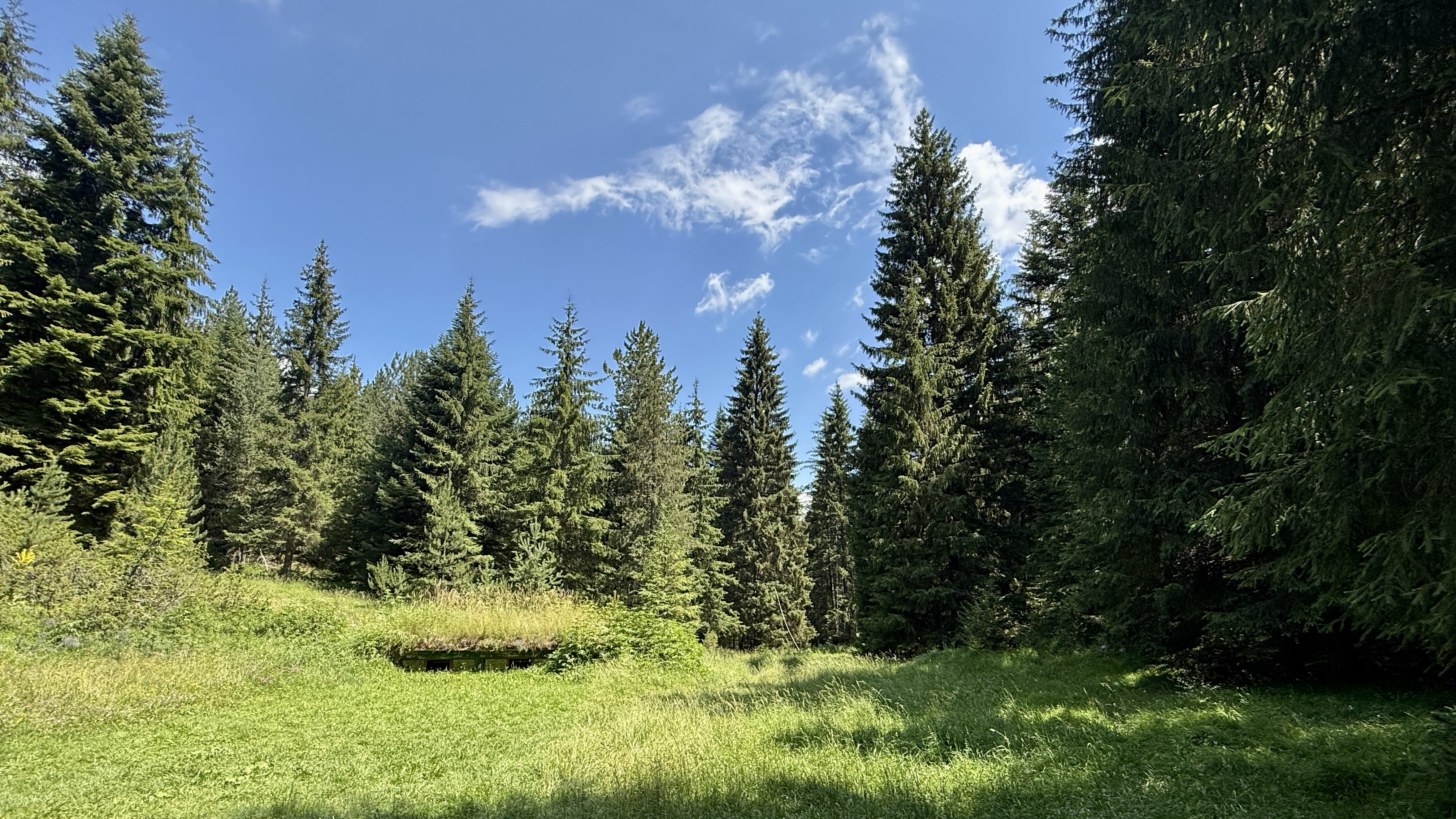 Bear-watching hide built into a grassy hillside in Bulgaria's Rhodope Mountains