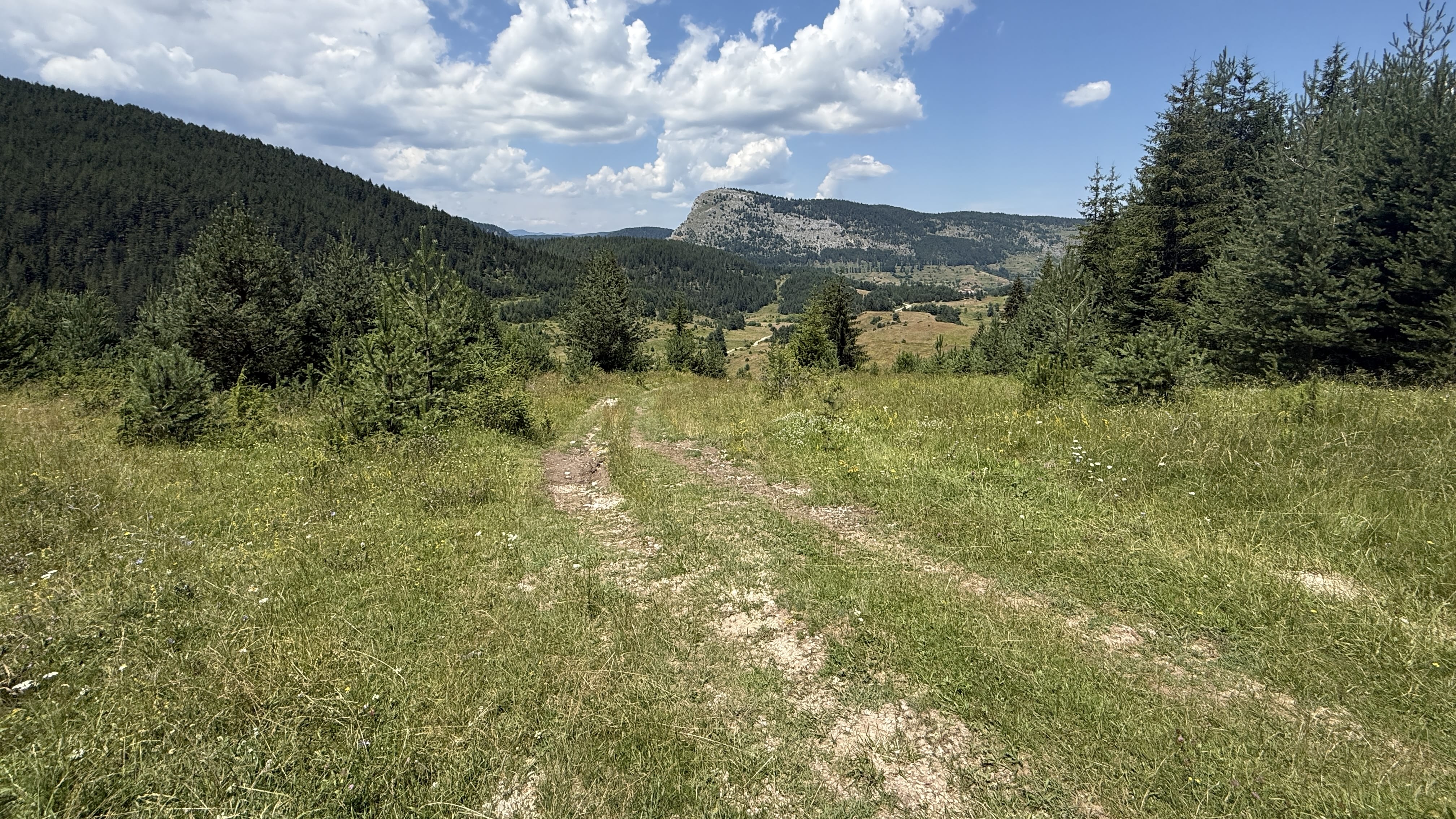 View over Buynovo Gorge and the Rhodope Mountains near Yagodina, Bulgaria