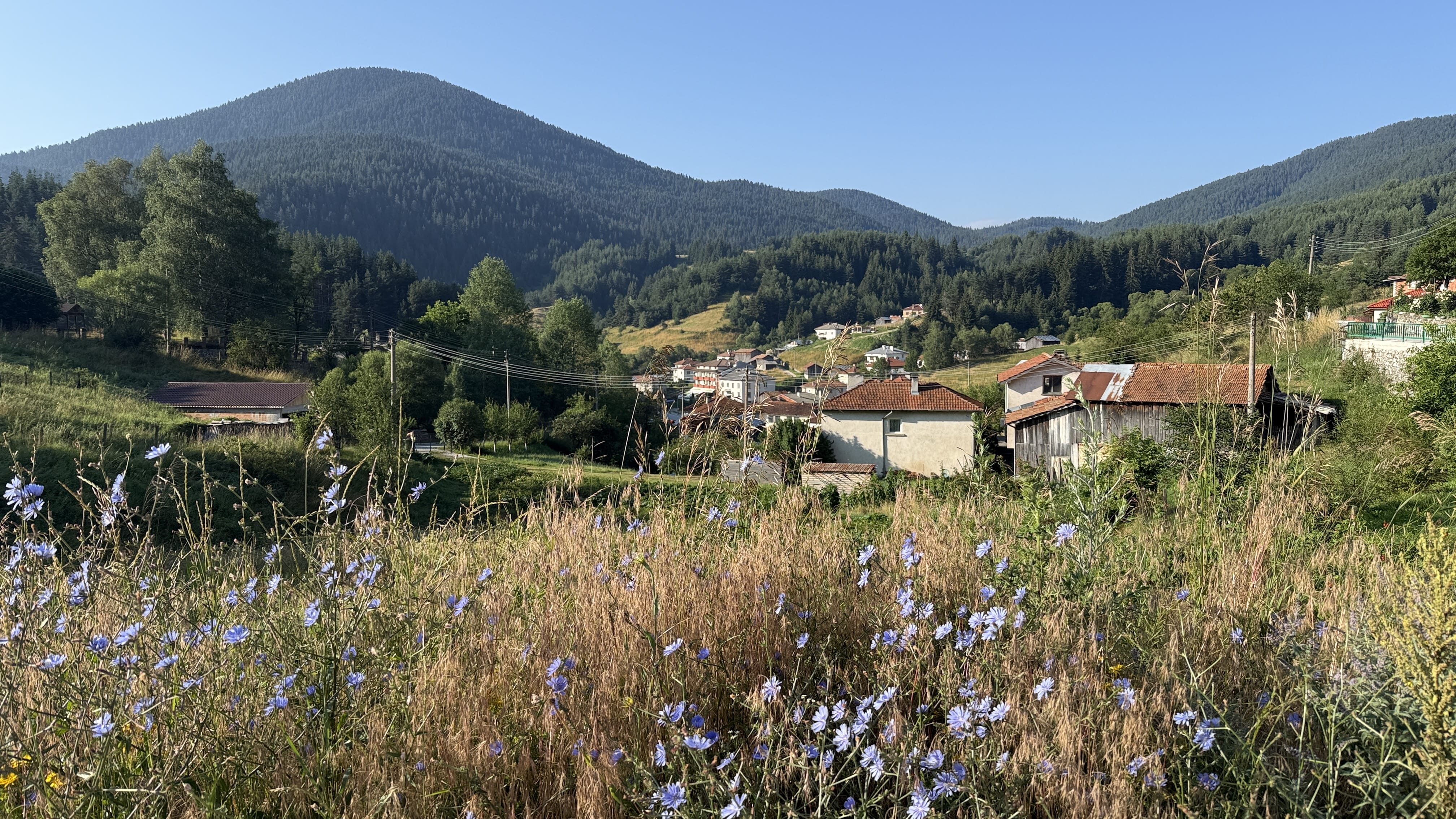 View back toward Yagodina from the Chamois Trail in Bulgaria’s Rhodope Mountains